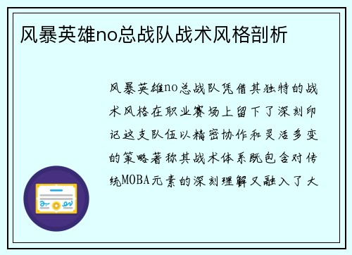 风暴英雄no总战队战术风格剖析