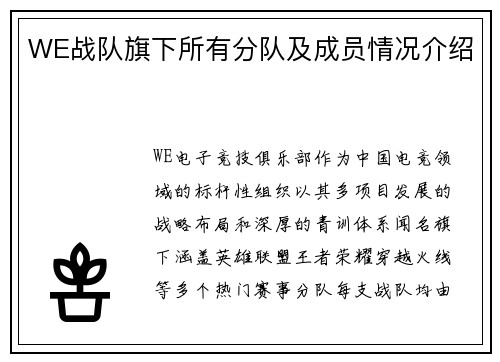 WE战队旗下所有分队及成员情况介绍